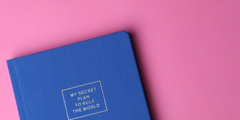 A book titled: My secret Plan to Rule the World